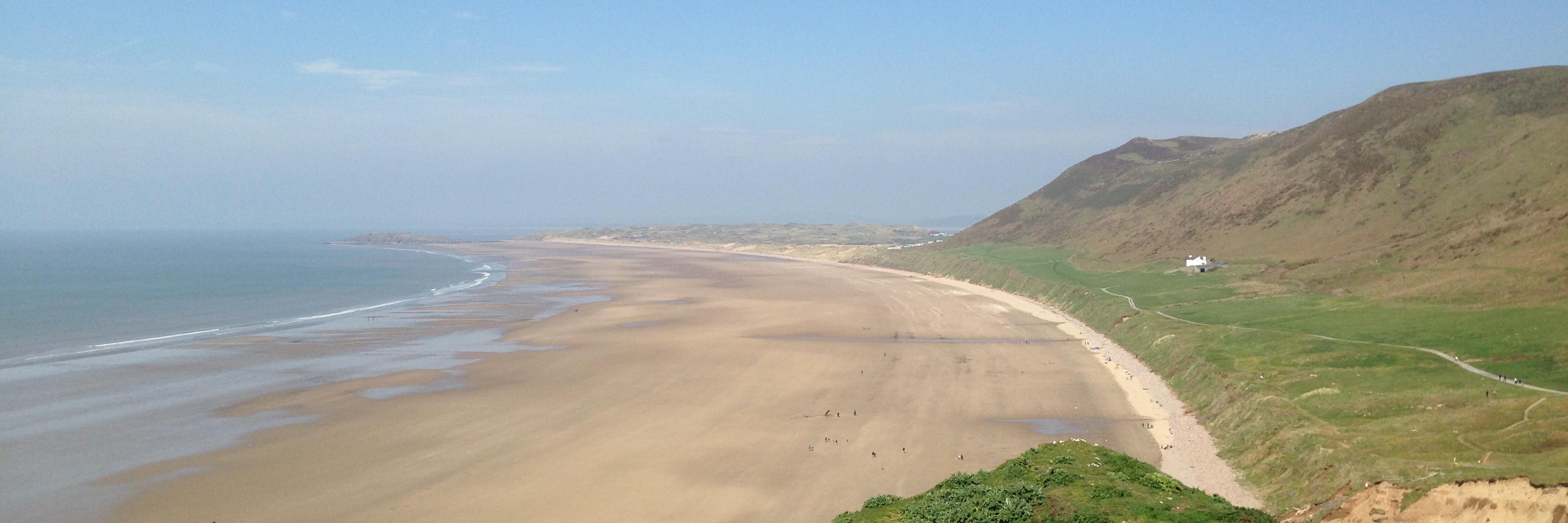 Aly Williamson 💙🏉 🏴󠁧󠁢󠁷󠁬󠁳󠁿 banner