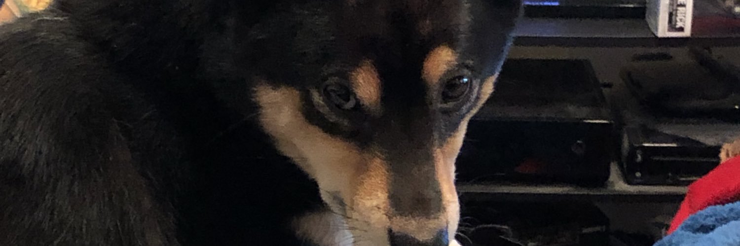 ChrisSnodgrass8's profile banner image