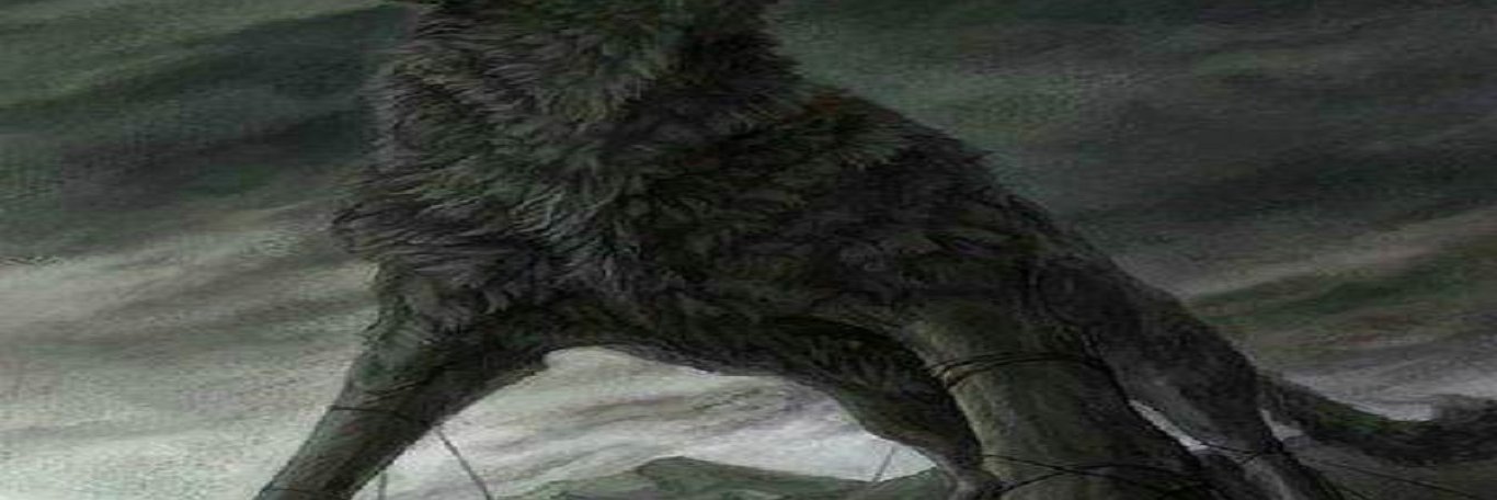bbqer332's profile banner image