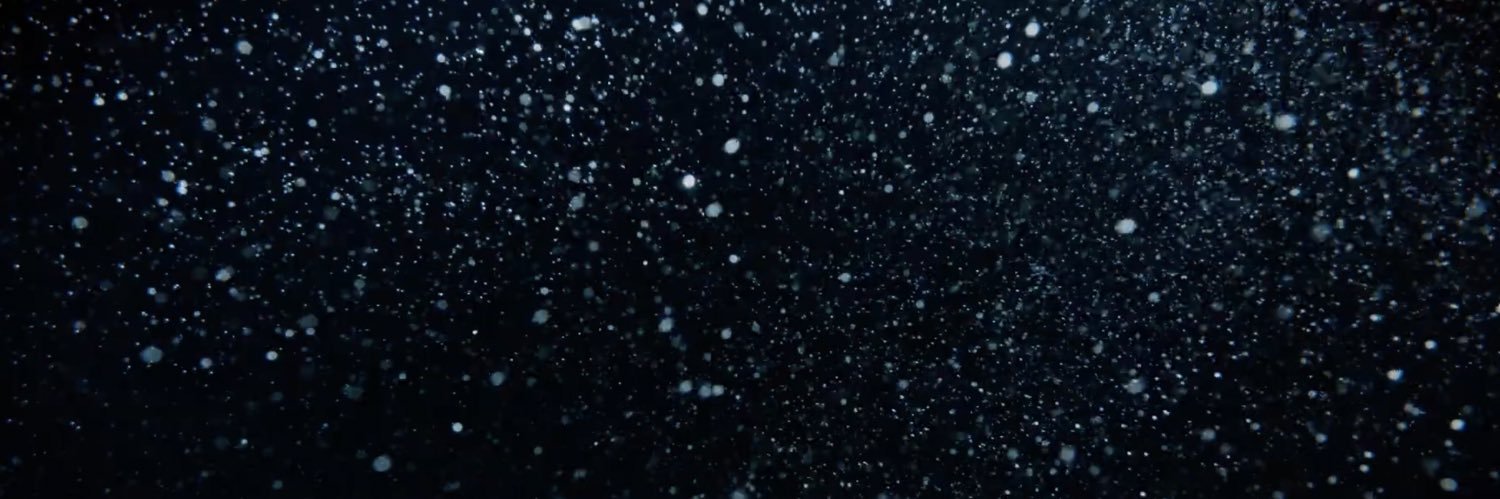 GreyWindLouis's profile banner image