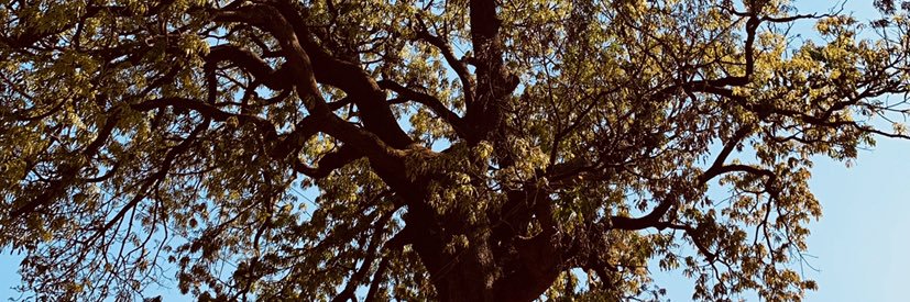 jitendravkamble's profile banner image