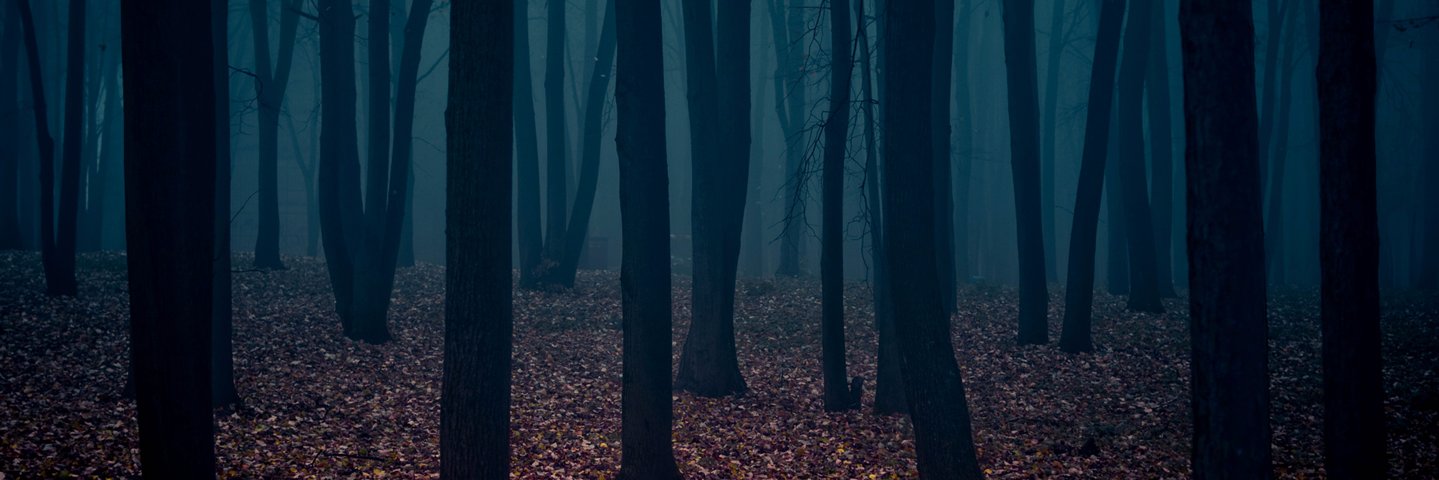 apbeck8's profile banner image