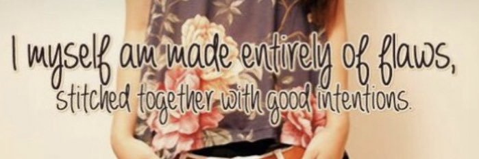 Meidas_DW💙🖖Ⓜ️Ⓜ️🟧🟦 banner