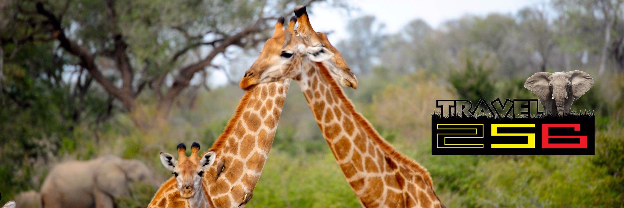 Travel256's profile banner image