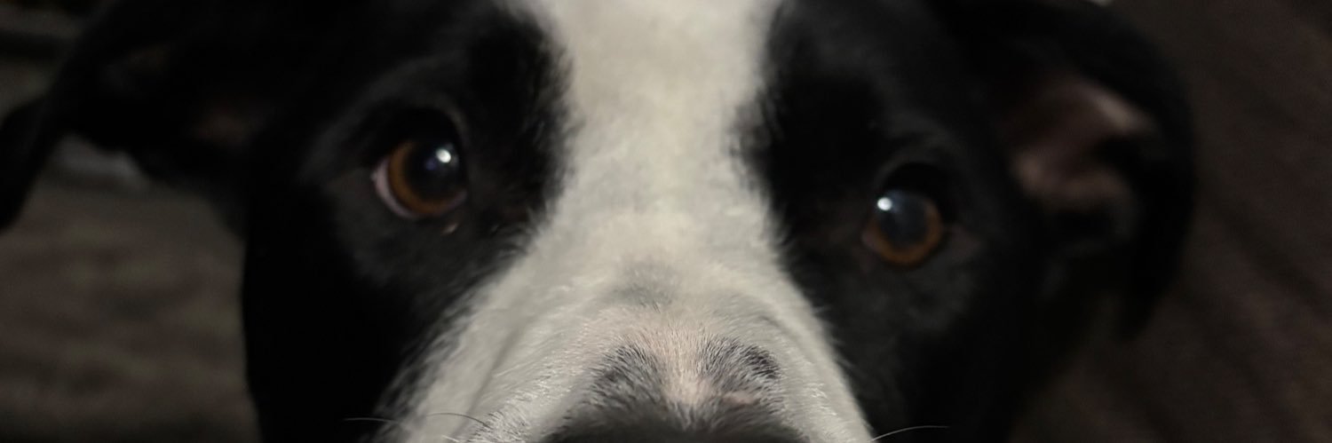 paulatheexplorer🏔 banner