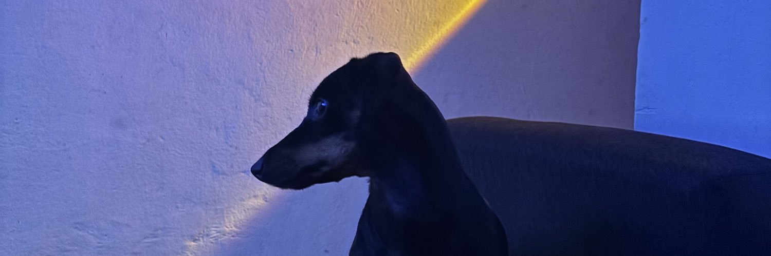 leoezeki's profile banner image