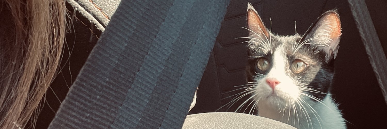 myti24's profile banner image