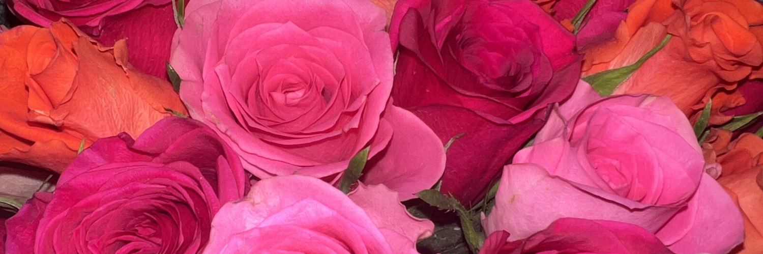 Alice_Wxxd's profile banner image