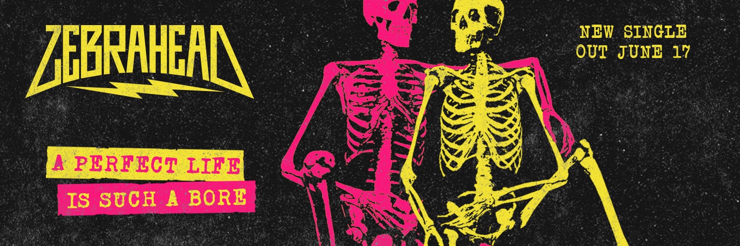 zebrahead's profile banner image