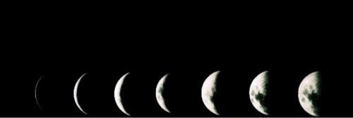 lolaWatson_'s profile banner image