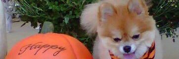 ConnieCase56's profile banner image