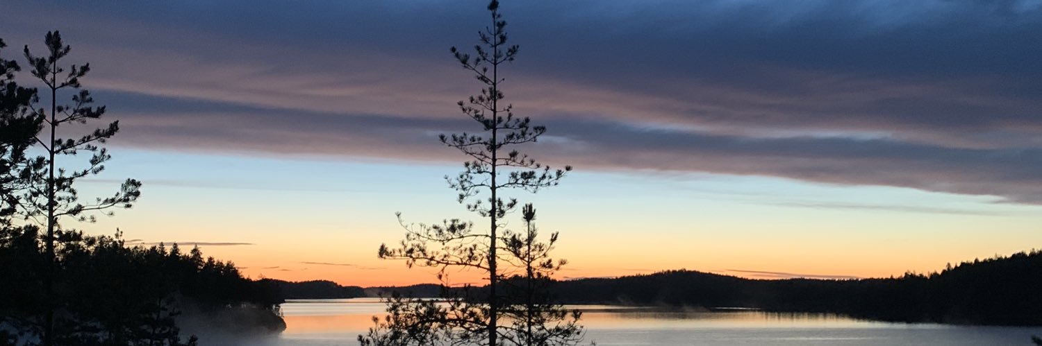 Jan Westö banner