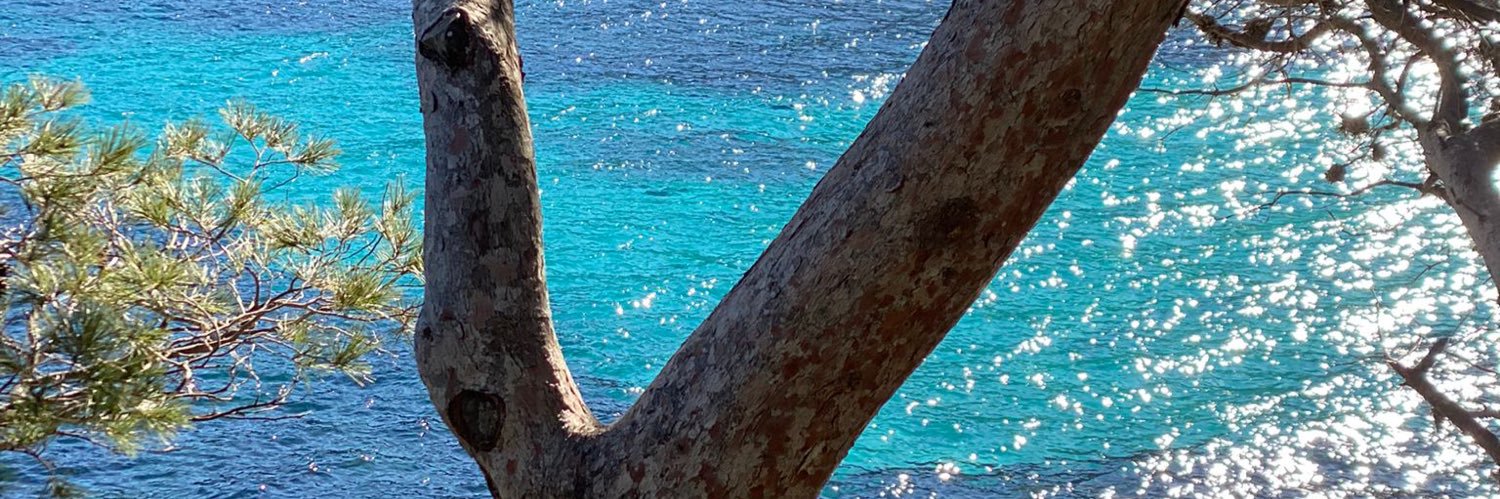 Foucheflo13's profile banner image