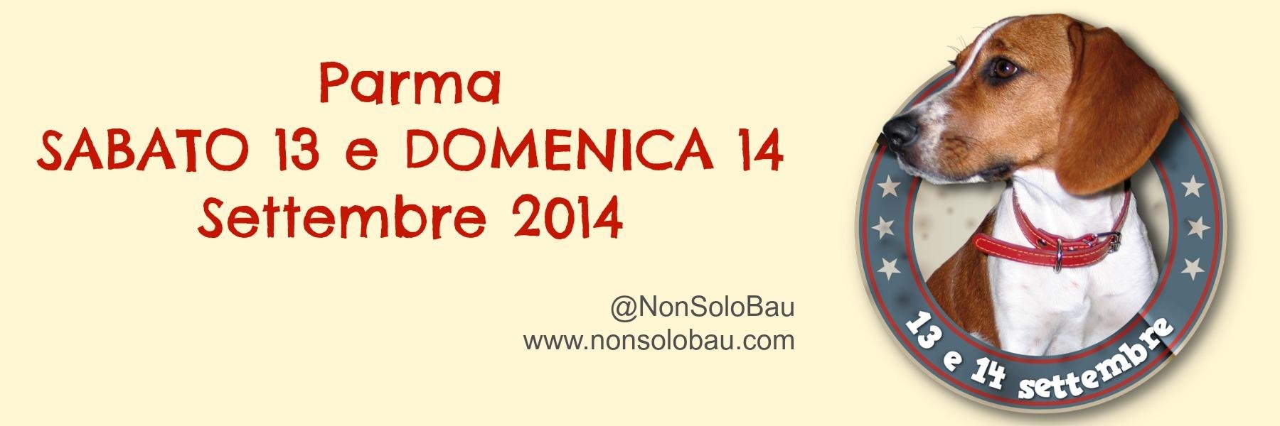 NonSoloBau's profile banner image