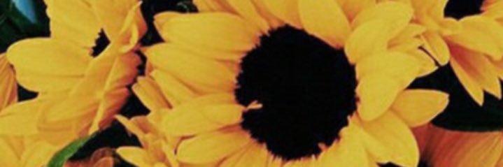 sammihuxtable's profile banner image