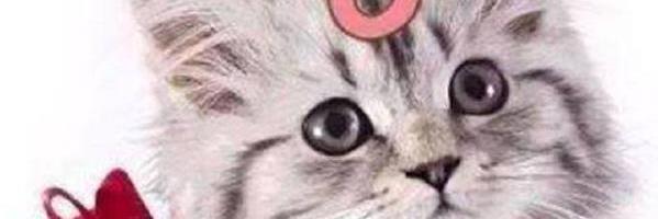 nariane16's profile banner image
