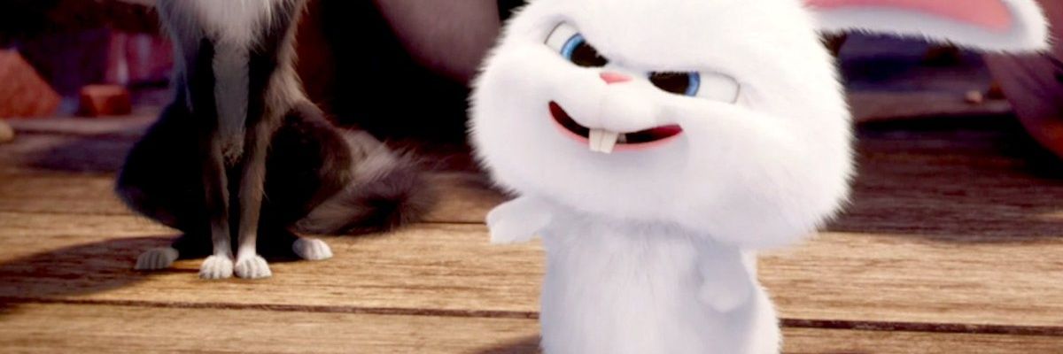 ptrmksuki's profile banner image