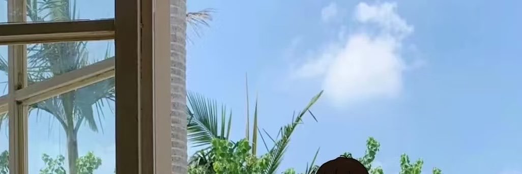 felipe_leandra's profile banner image