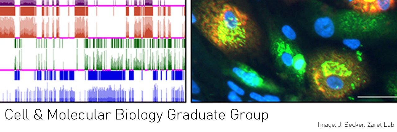 CAMB Graduate Group's banner