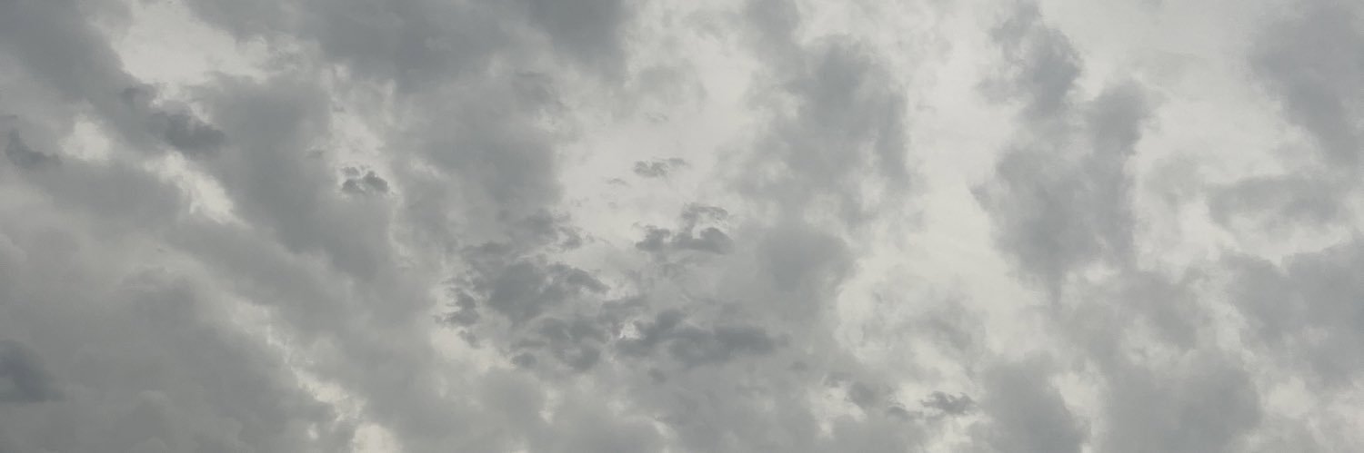 NEVAREZ. banner