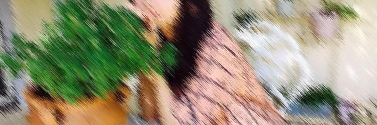 00qi4's profile banner image