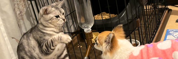 travis37564 Profile Banner