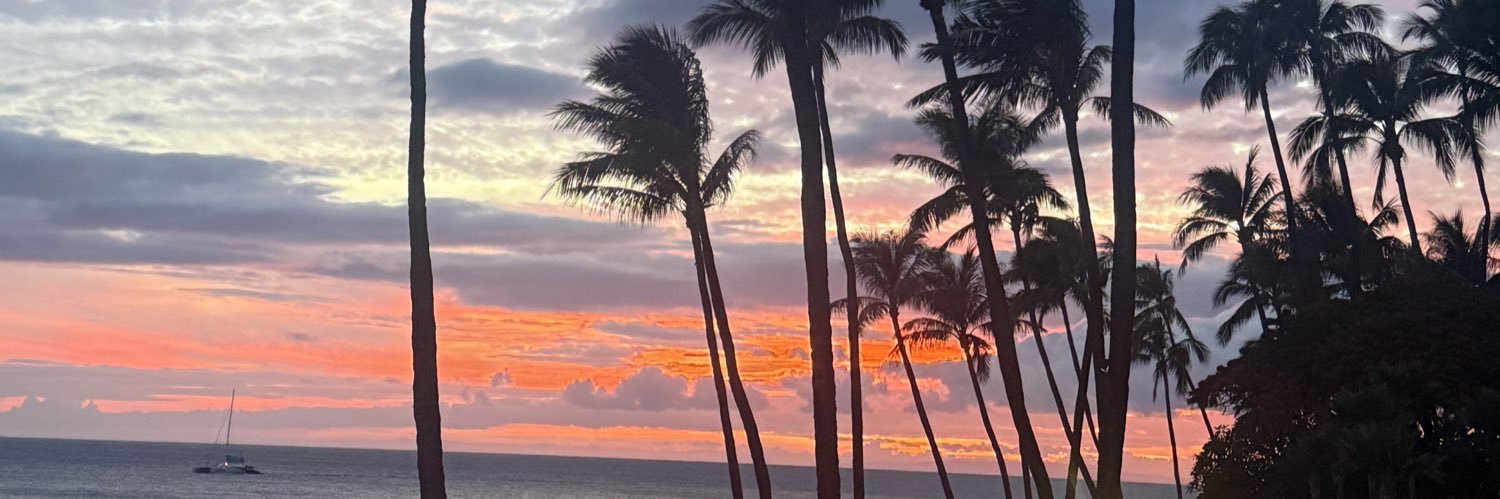 Jenn 🌴🌅☀️🌊 🦋👙🏄🏼‍♀️🦩 banner