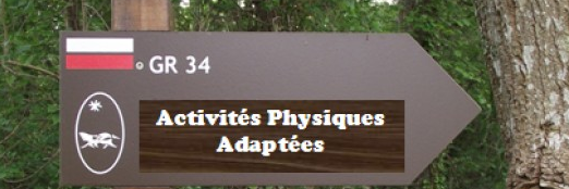 ActiPhysAdapt's profile banner image
