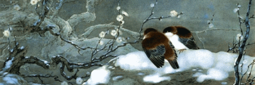 mkohoutdiaz's profile banner image