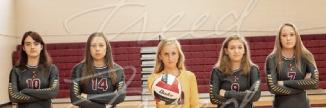 BI Volleyball banner