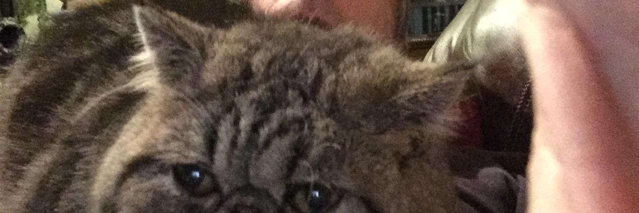 SheardCraig's profile banner image