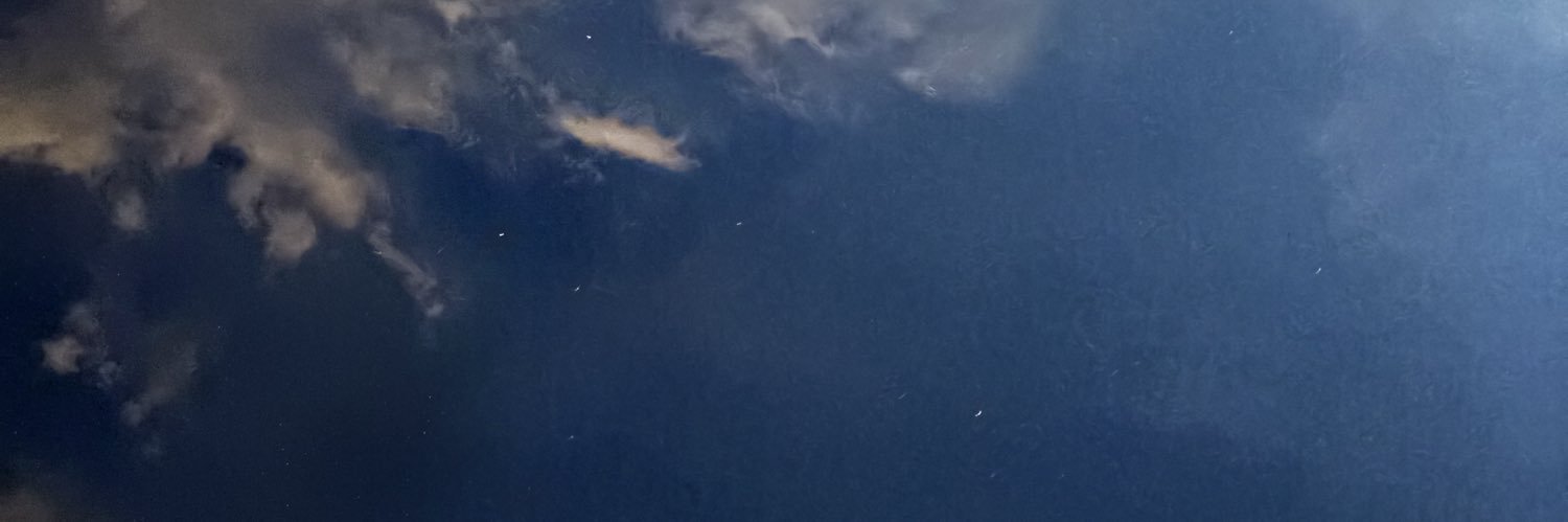 ronalde699's profile banner image