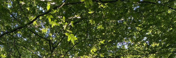 FieldDuncan Profile Banner