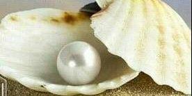 @Linda09 banner