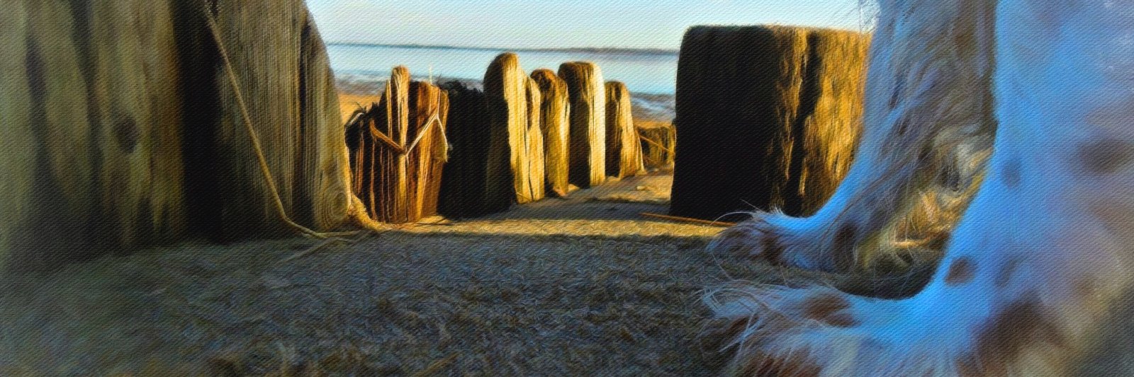 AprilLivermore's profile banner image