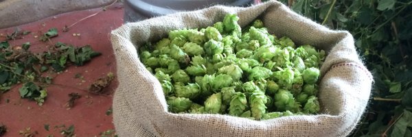 Hopfederation Profile Banner