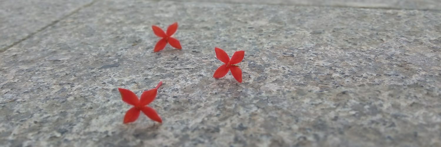 svsunkara's profile banner image