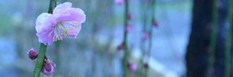jadgmpw's profile banner image