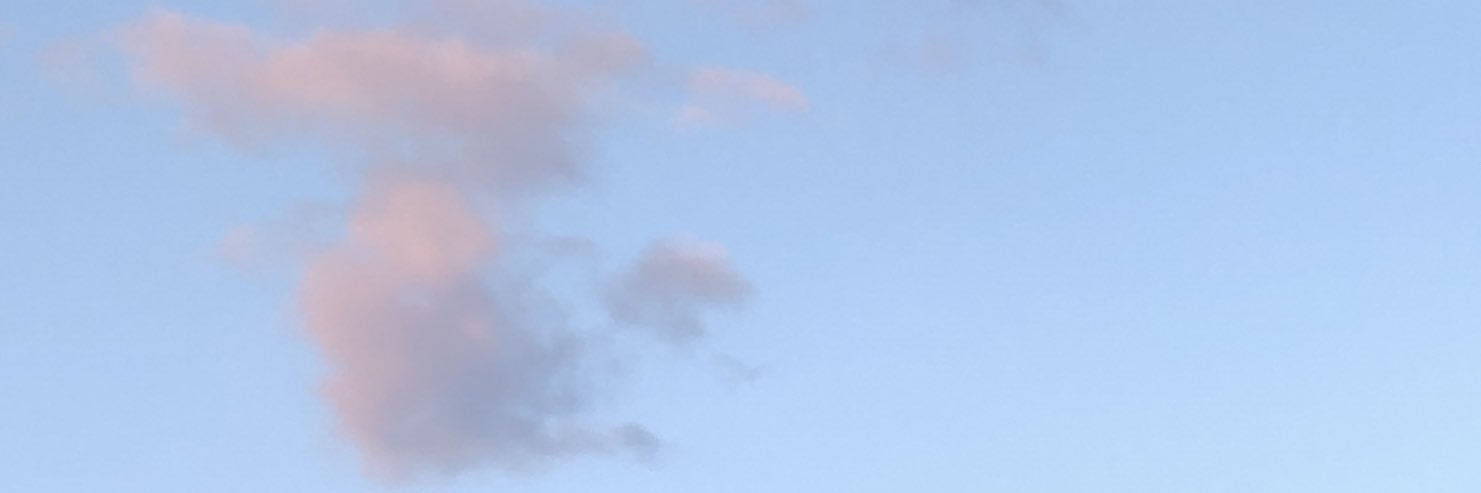 rehsa banner