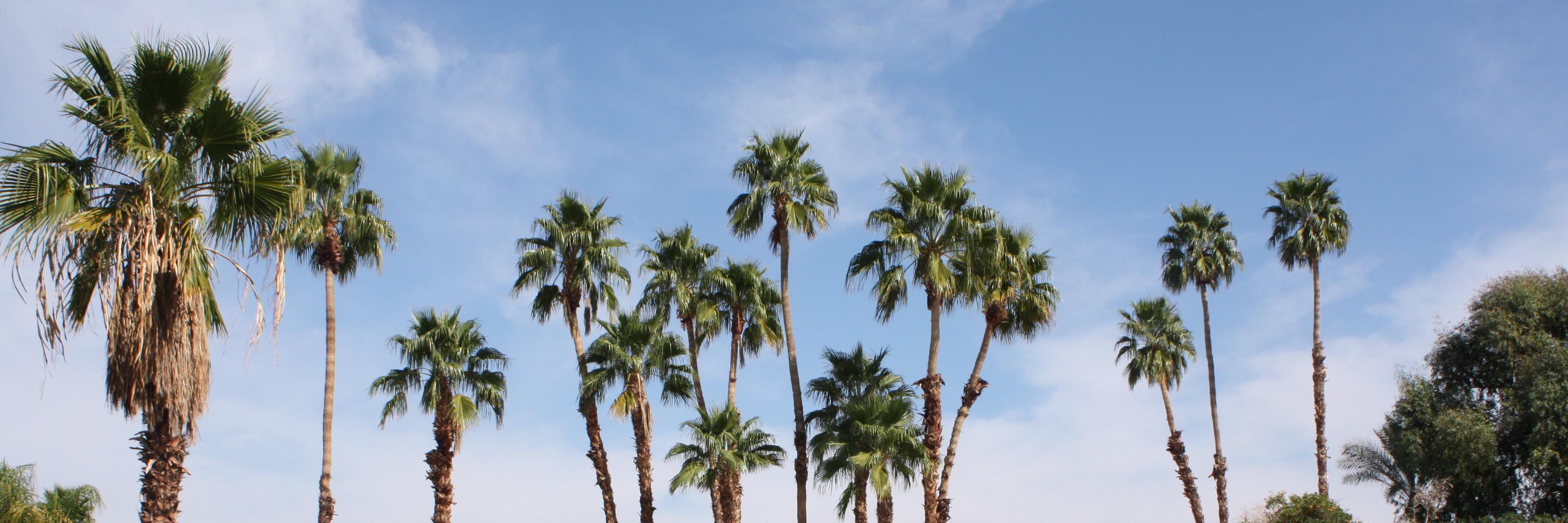 DesertGetaway's profile banner image