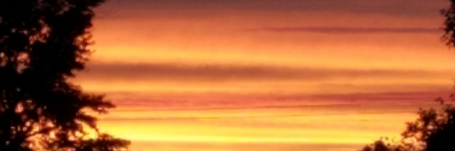 RosemaryPrest13's profile banner image