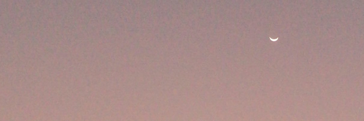 yqxerr_'s profile banner image
