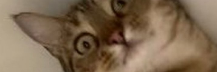 Phillip Carter banner