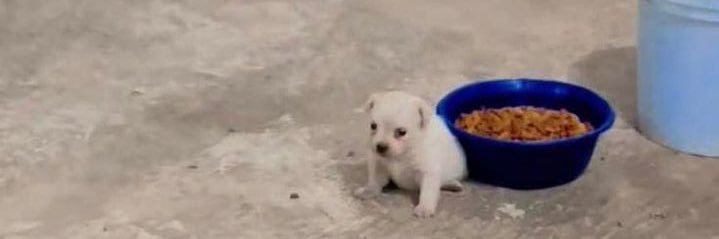 unknowncryptid's profile banner image