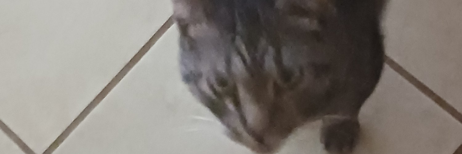 Jaredhimself316's profile banner image