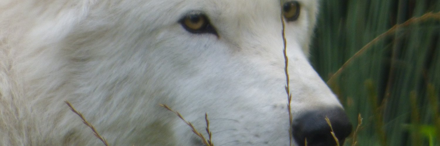 mat_g_54's profile banner image