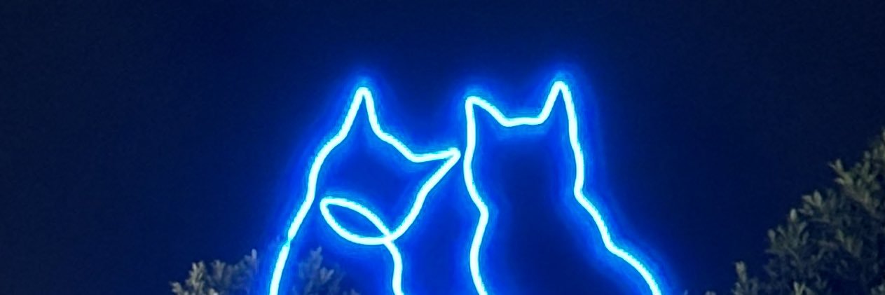 cyxbhy's profile banner image