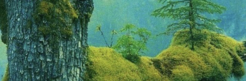 Ben__Khan's profile banner image