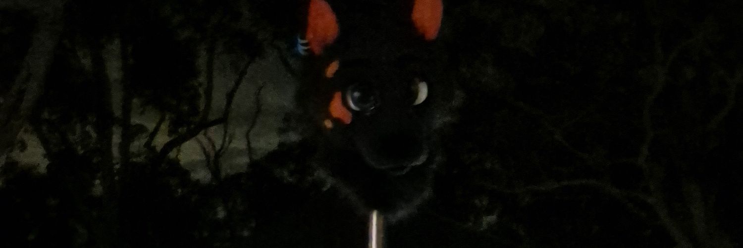 Cruise Te Dingo's banner