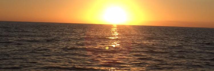 future_covergrl's profile banner image